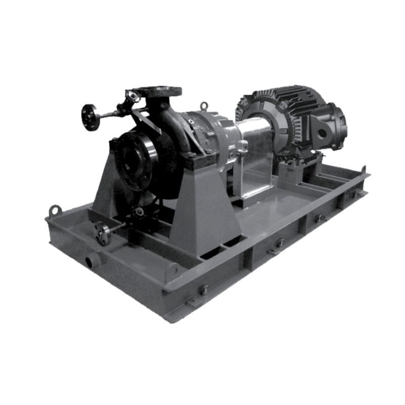 WMC (OH2) Serie API 610 Standard-Chemie Pumpen